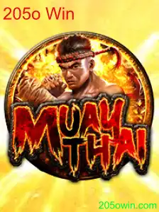MuayThai: A Arte Marcial de 205 Vitórias